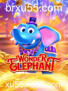 Descubra o incrível mundo do WonderElephant: Regras e Estratégias